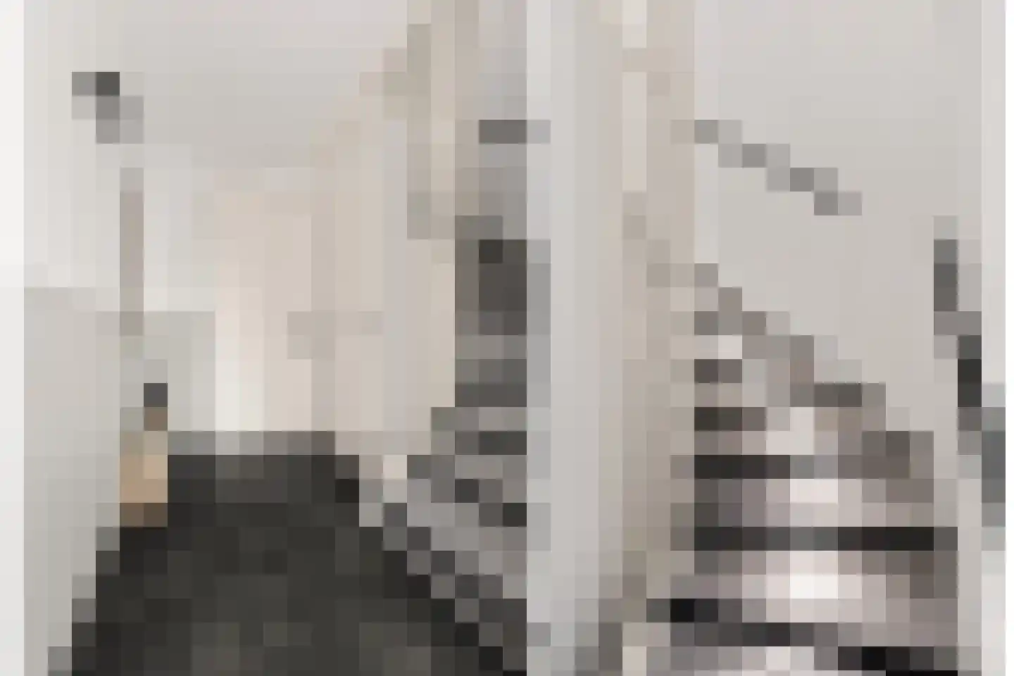 Inarimeer 3 Woerden thumbnail 10