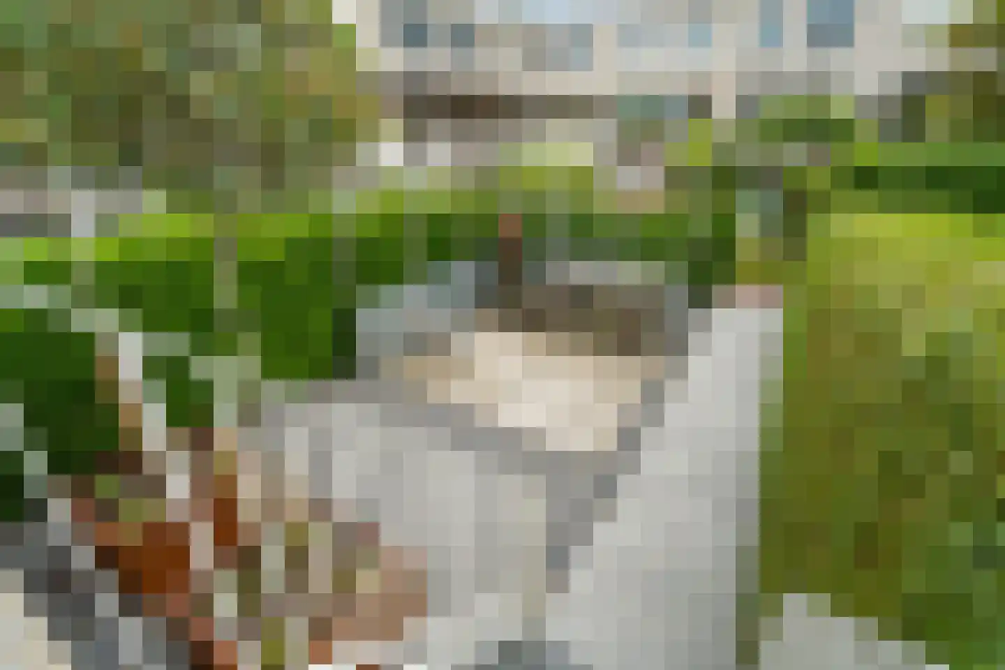 Inarimeer 3 Woerden thumbnail 22