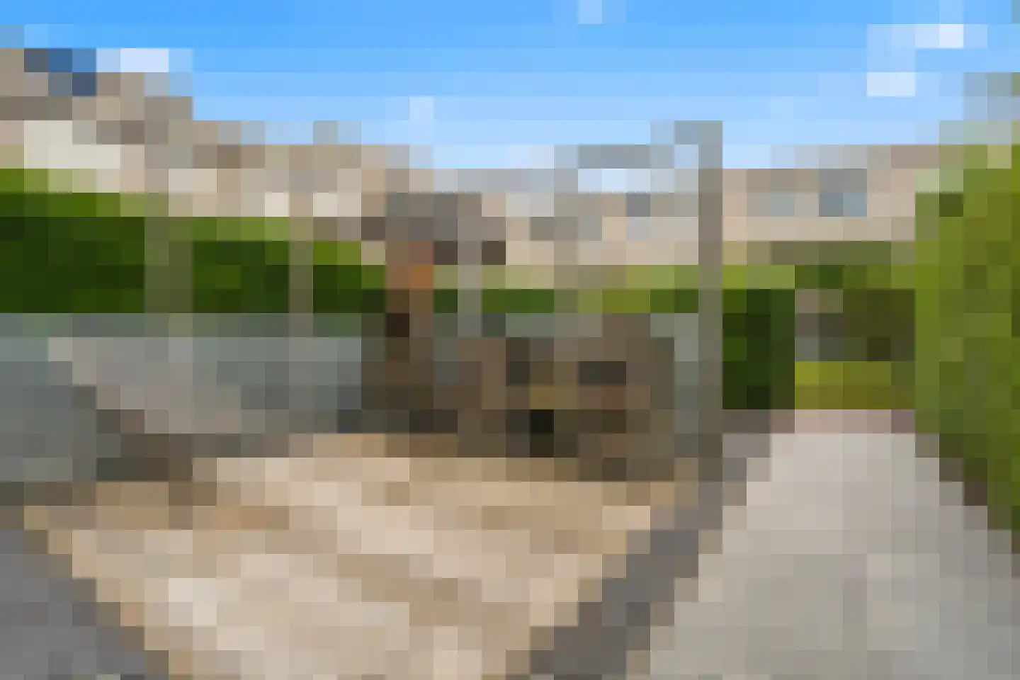 Inarimeer 3 Woerden thumbnail 23