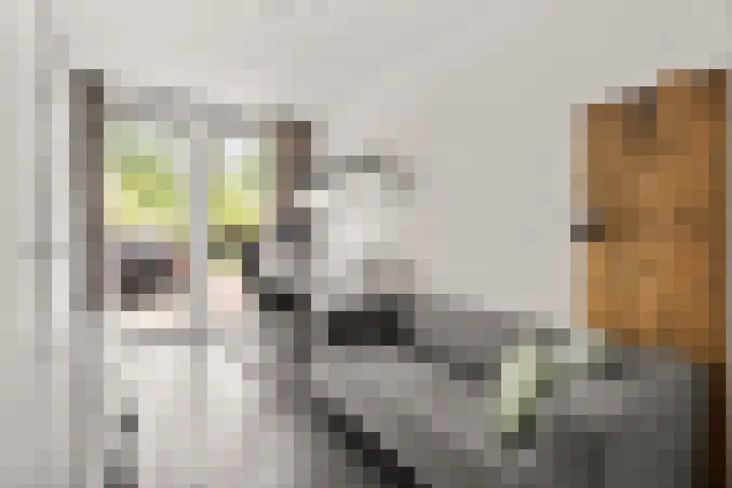Inarimeer 3 Woerden thumbnail 26