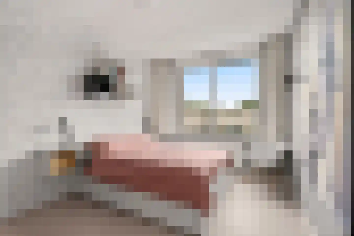 Inarimeer 3 Woerden thumbnail 36