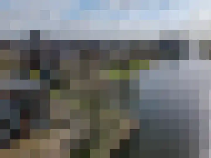 Inarimeer 61 Woerden thumbnail 101