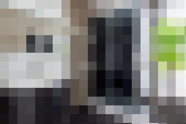 Inarimeer 61 Woerden thumbnail 30