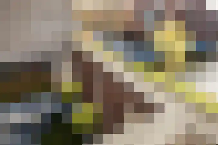 Inarimeer 61 Woerden thumbnail 47