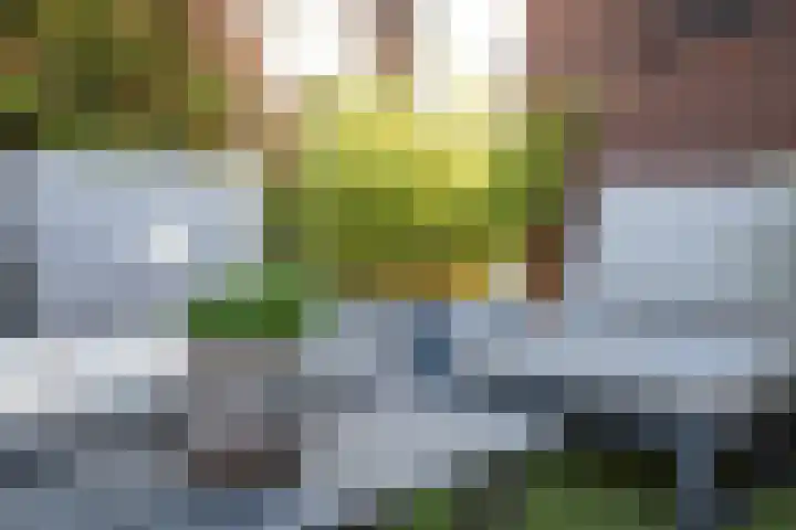 Inarimeer 61 Woerden thumbnail 68