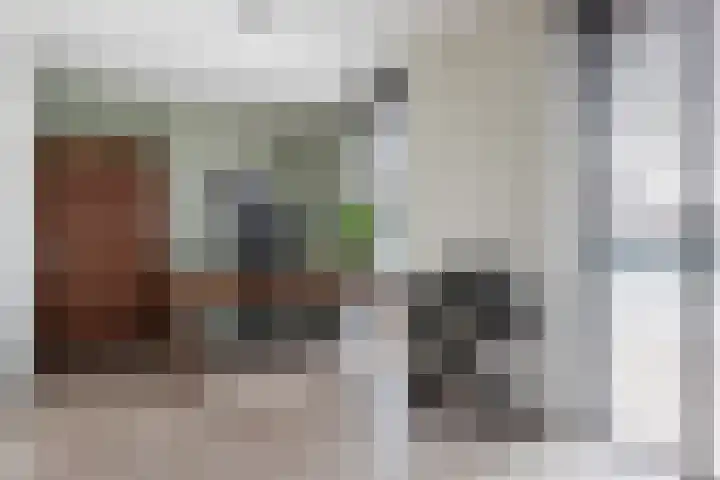 Inarimeer 61 Woerden thumbnail 70