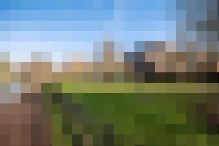 Inarimeer 61 Woerden thumbnail 84