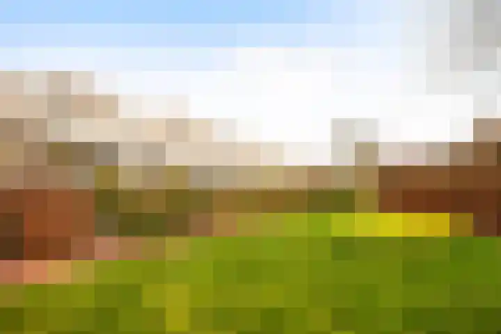 Inarimeer 61 Woerden thumbnail 91