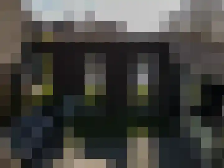 Inarimeer 61 Woerden thumbnail 98
