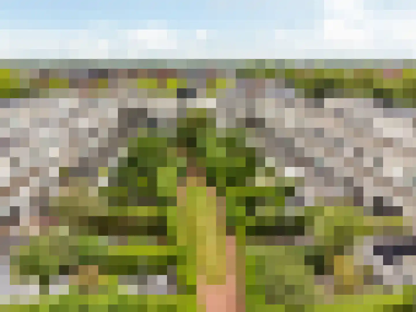 Inarimeer 89 Woerden thumbnail 36