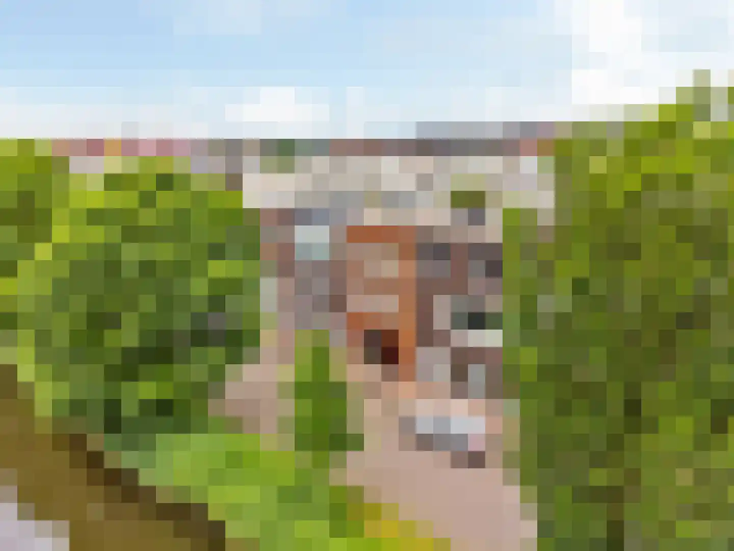 Inarimeer 89 Woerden thumbnail 38