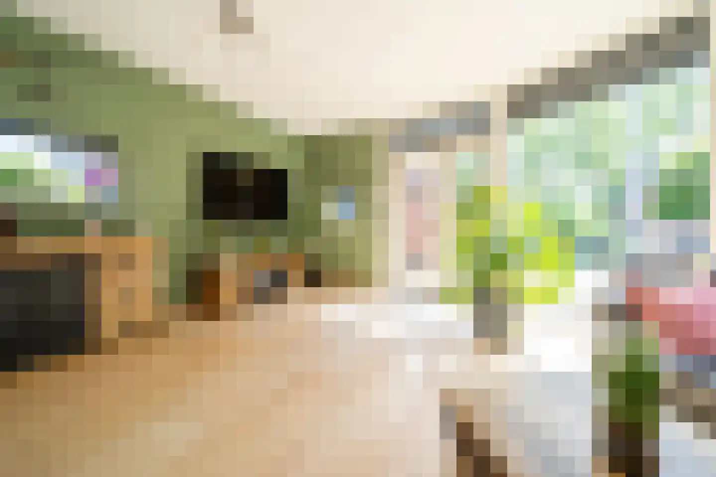 Incastraat 1 Purmerend thumbnail 15