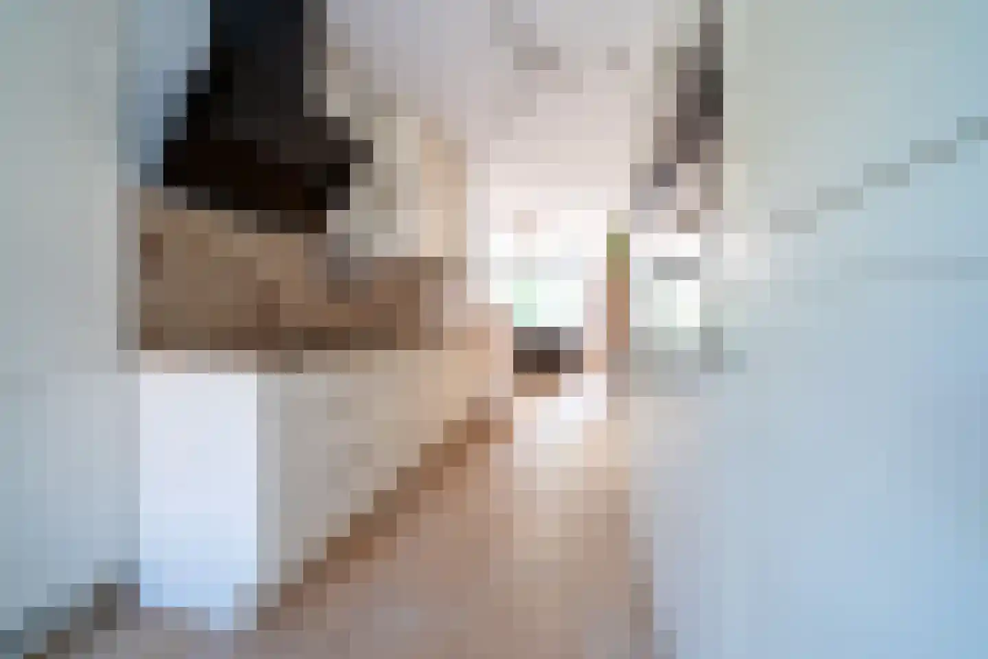 Incastraat 1 Purmerend thumbnail 21