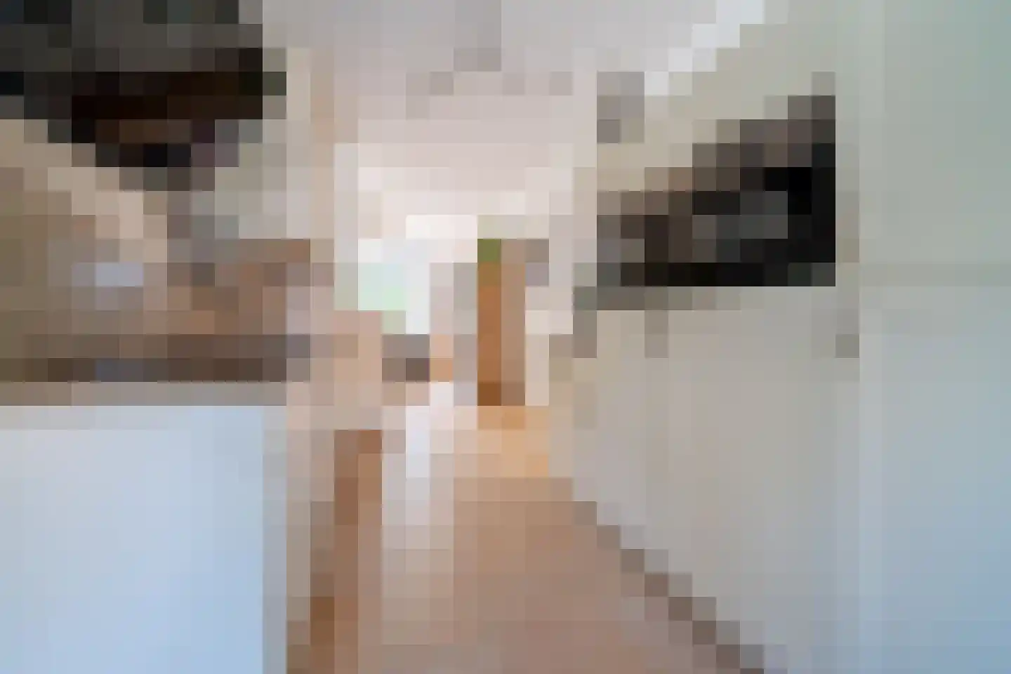 Incastraat 1 Purmerend thumbnail 22