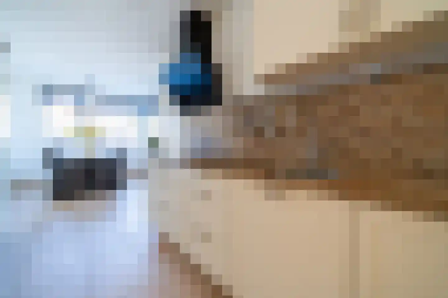 Incastraat 1 Purmerend thumbnail 24