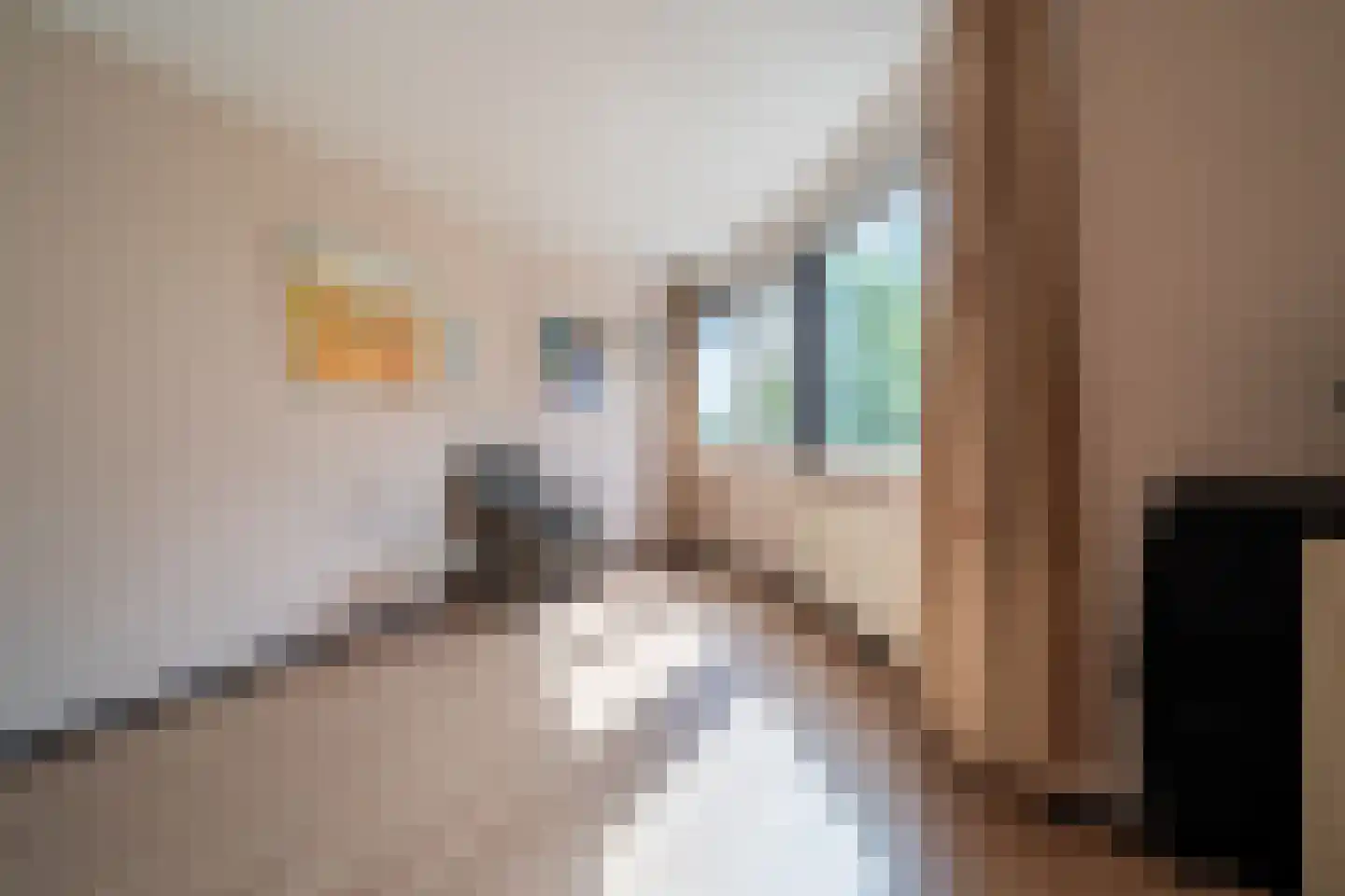 Incastraat 1 Purmerend thumbnail 43