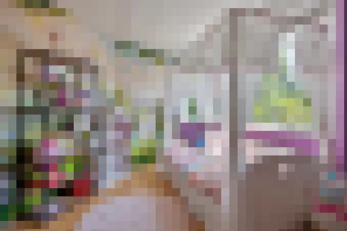 Incastraat 19 Purmerend thumbnail 28