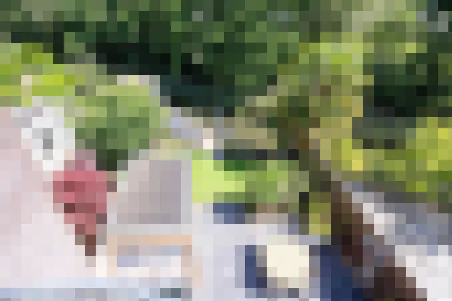 Incastraat 19 Purmerend thumbnail 35