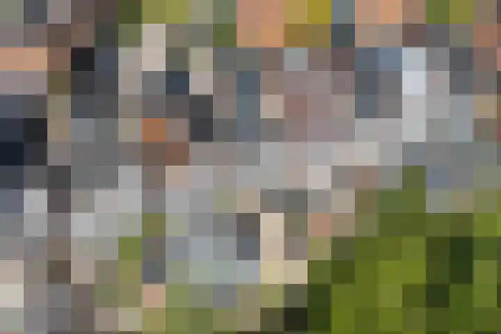 Incastraat 59 Purmerend thumbnail 4