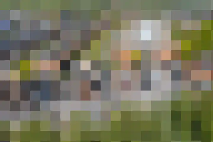 Incastraat 59 Purmerend thumbnail 7