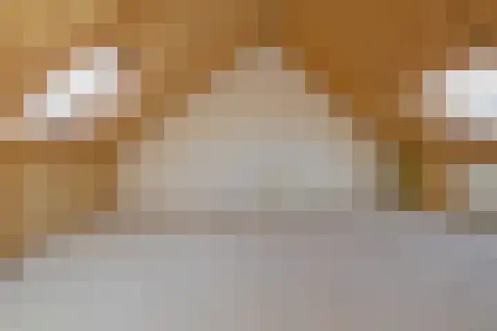 Indiapad 8 Alphen aan den Rijn thumbnail 16