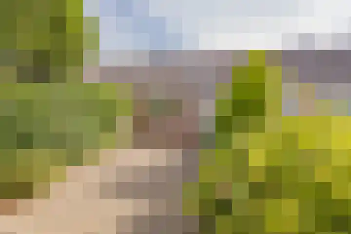 Indiapad 8 Alphen aan den Rijn thumbnail 19