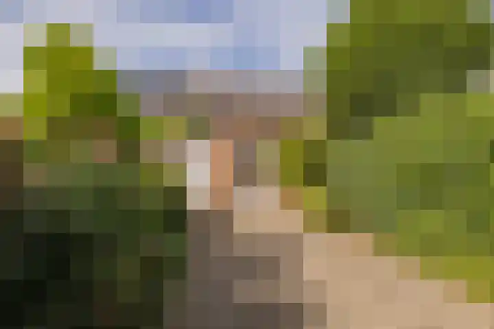 Indiapad 8 Alphen aan den Rijn thumbnail 20