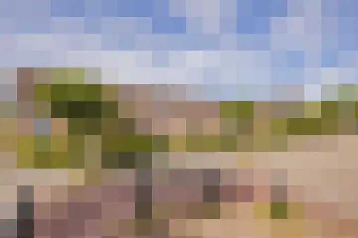 Indiapad 8 Alphen aan den Rijn thumbnail 21