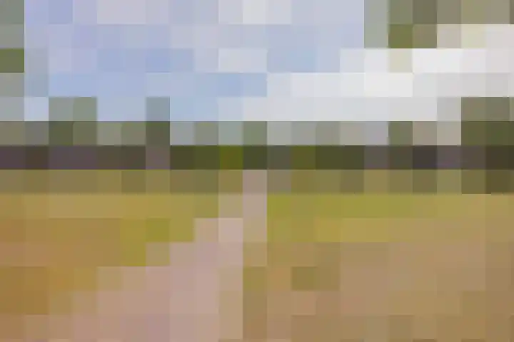 Indiapad 8 Alphen aan den Rijn thumbnail 22