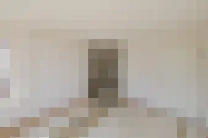 Indiapad 8 Alphen aan den Rijn thumbnail 5