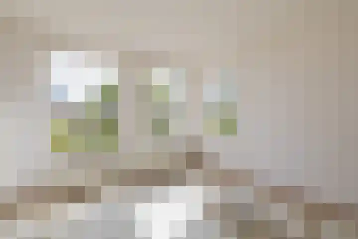 Indiapad 8 Alphen aan den Rijn thumbnail 6