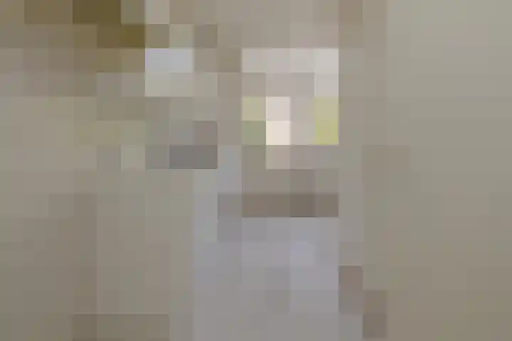 Indiapad 8 Alphen aan den Rijn thumbnail 7