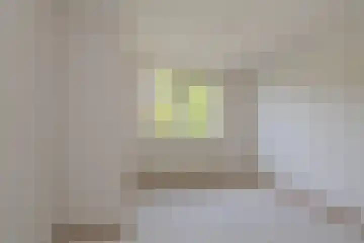 Indiapad 8 Alphen aan den Rijn thumbnail 9
