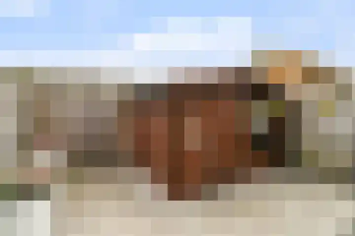 Indiastraat 16 Delft thumbnail 18