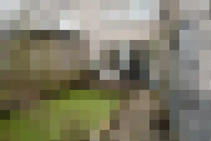 Indigoblauw 2 Zoetermeer thumbnail 16
