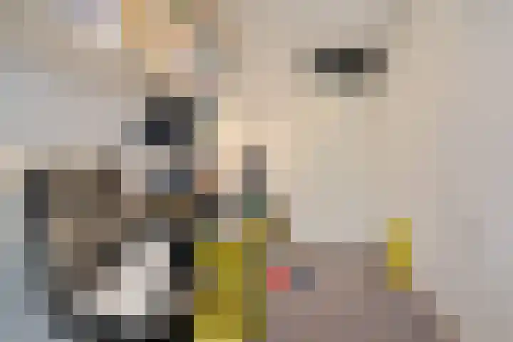 Indigoblauw 2 Zoetermeer thumbnail 30