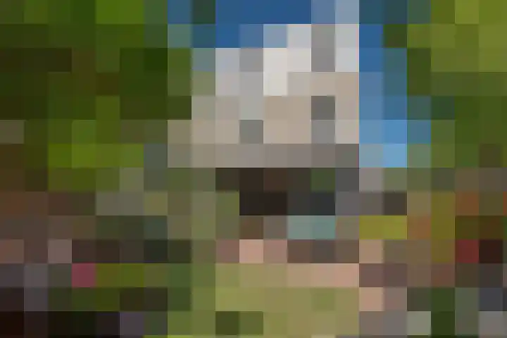 Indigoblauw 49 Zoetermeer thumbnail 12