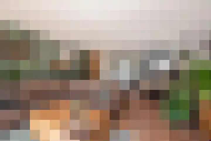 Indigoblauw 49 Zoetermeer thumbnail 14