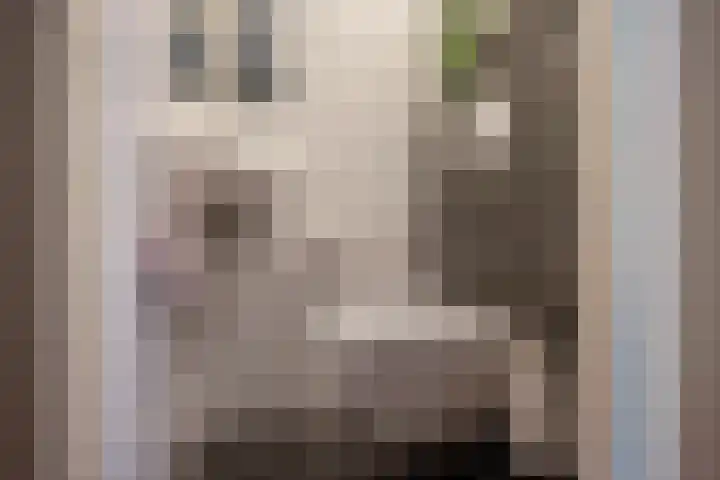 Indigoblauw 49 Zoetermeer thumbnail 19