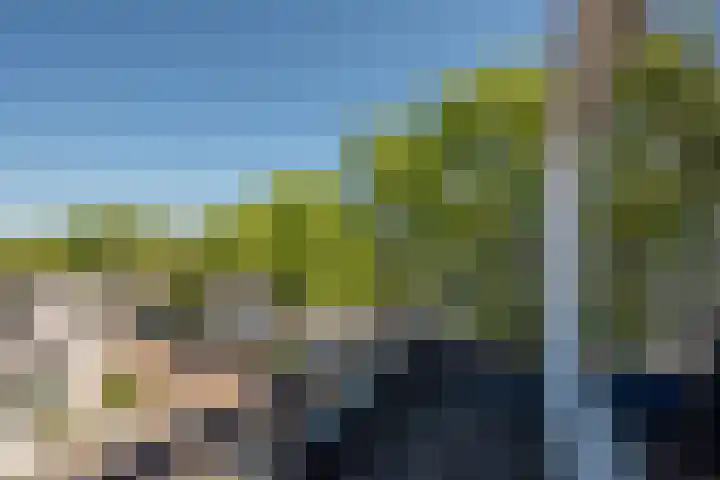 Indigoblauw 49 Zoetermeer thumbnail 29