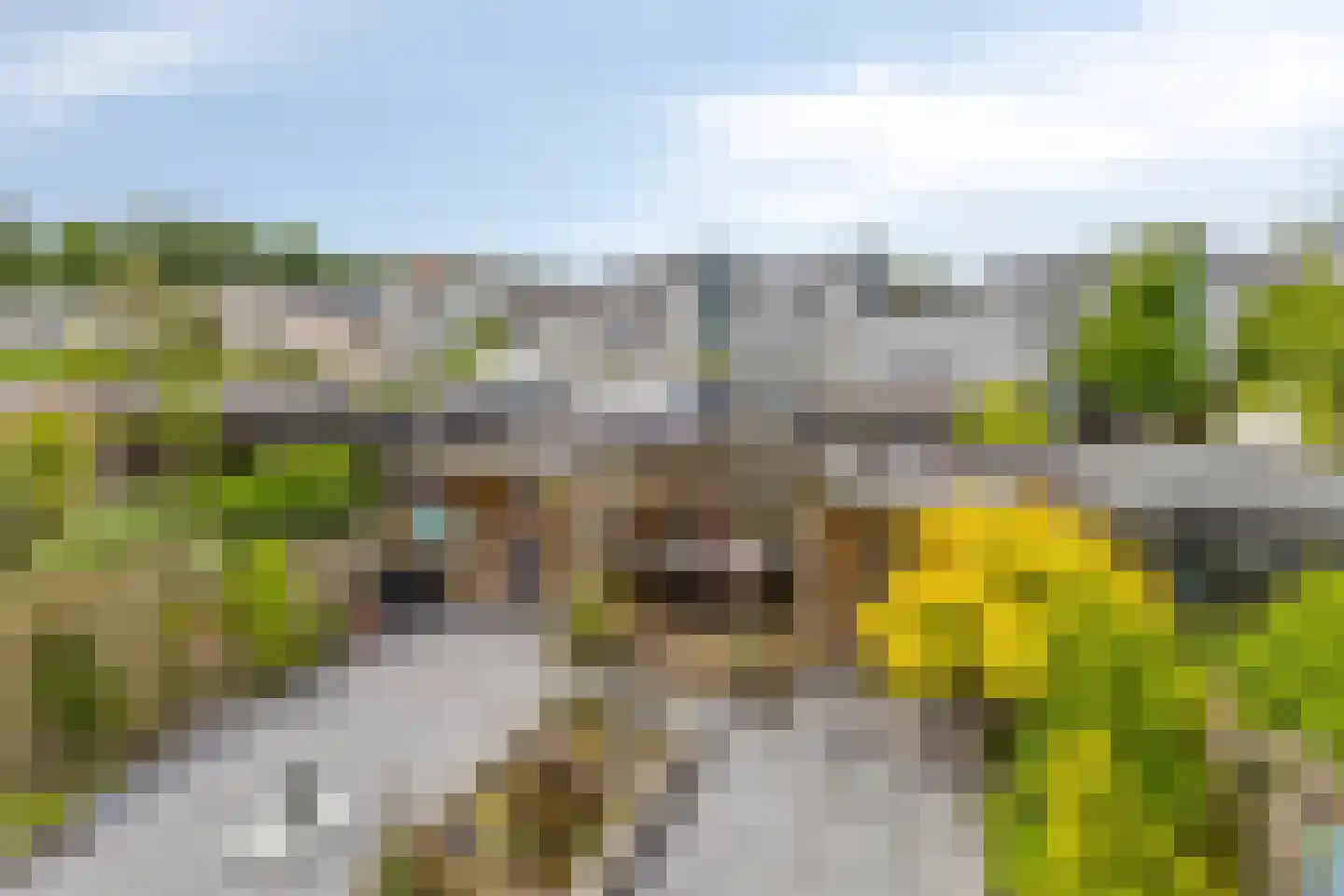 Indigohof 14 Almere thumbnail 37