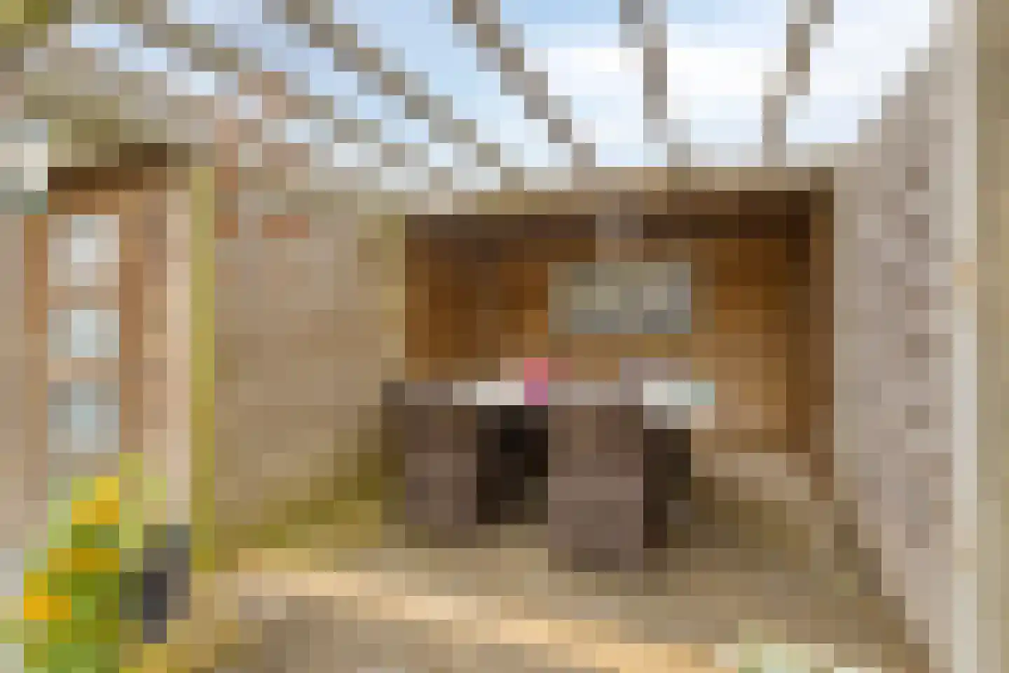 Indigohof 14 Almere thumbnail 38