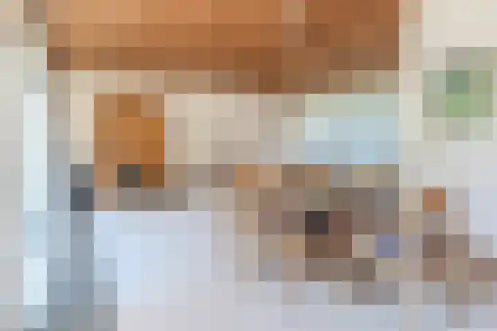 Indigolaan 2 Tilburg thumbnail 10