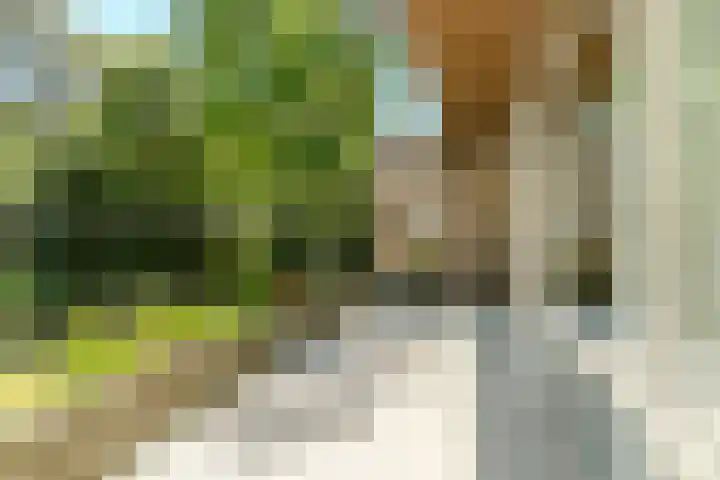 Indigolaan 2 Tilburg thumbnail 45