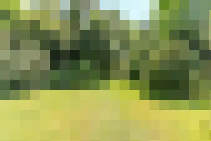 Indigolaan 2 Tilburg thumbnail 49