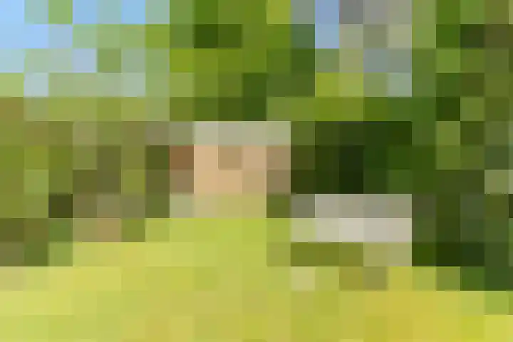 Indigolaan 2 Tilburg thumbnail 51