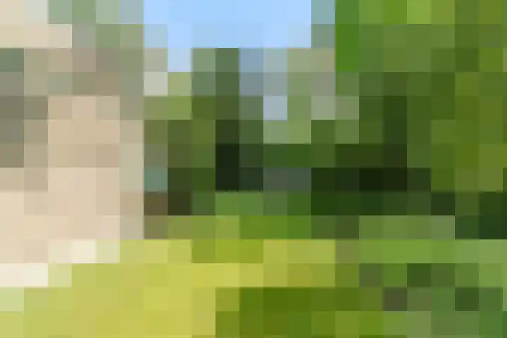 Indigolaan 2 Tilburg thumbnail 54