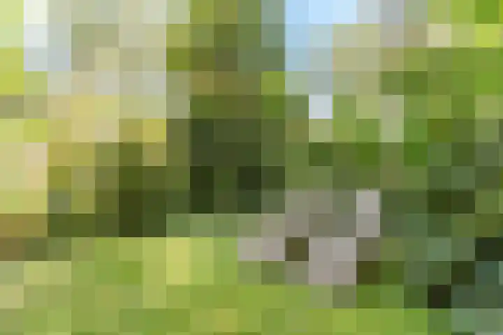 Indigolaan 2 Tilburg thumbnail 55