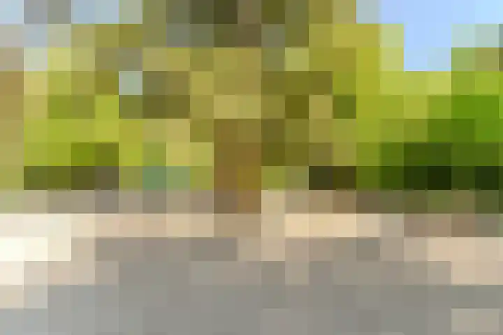 Indigolaan 2 Tilburg thumbnail 63