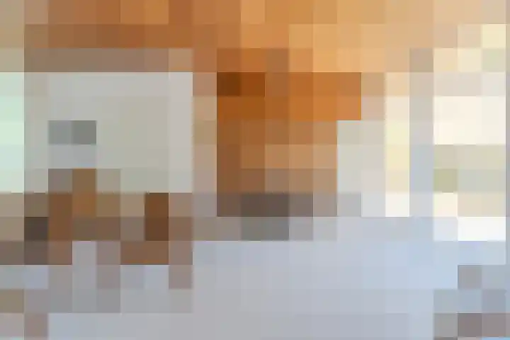 Indigolaan 2 Tilburg thumbnail 8